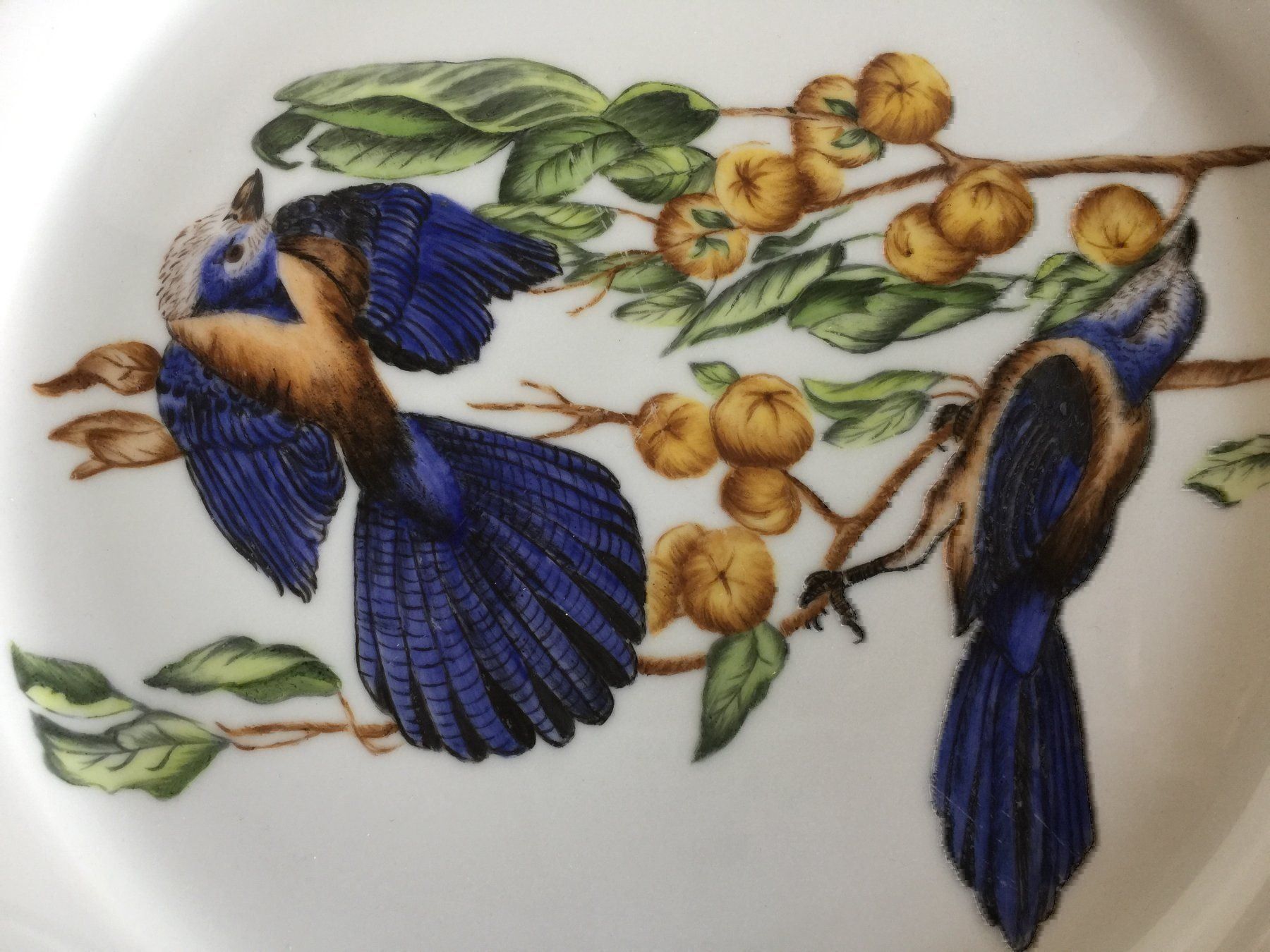 Piatti: Assiette WINTERLING MARKTLEUTHEN BAVARIA – Usato da Cossonay-ville venduto da Super-Price-Quality 6