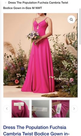 Dress The Population Cambria Twist Bodice Maxi Gown