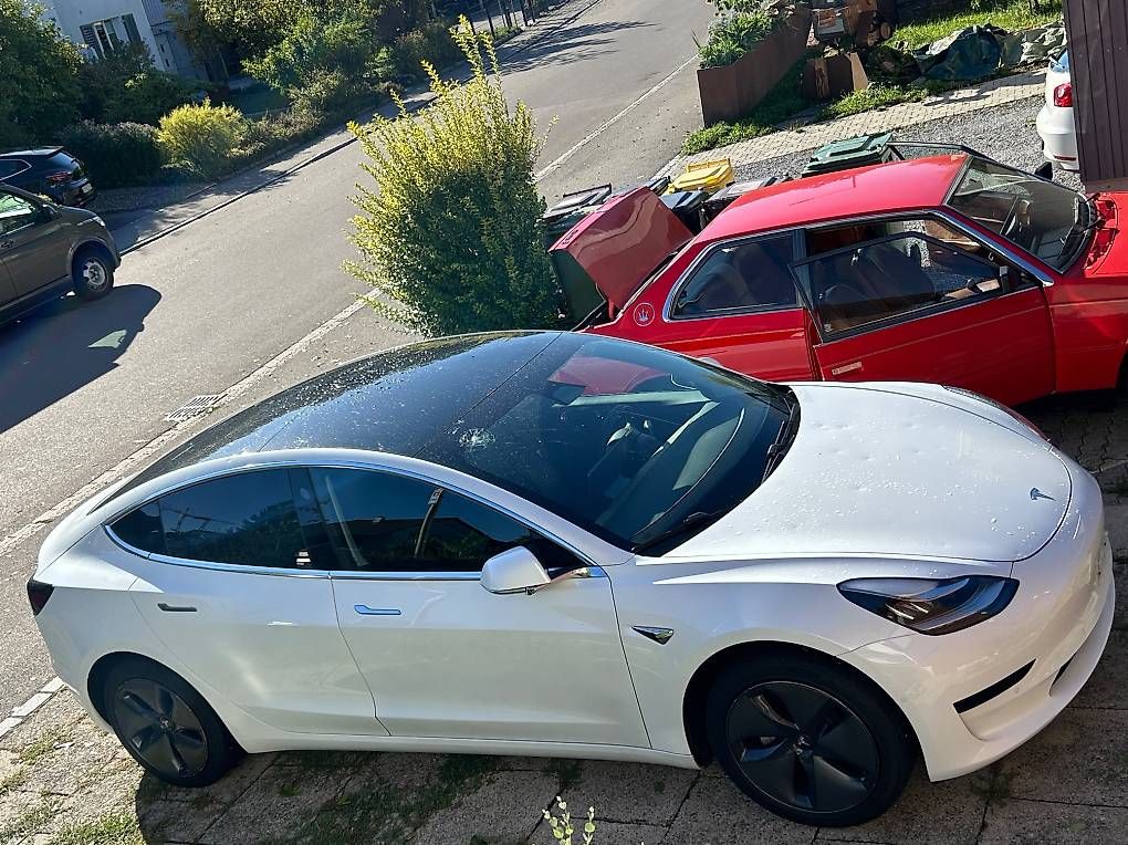 Autos: Tesla Model 3 – D'occasion à Winterthur par ubr_68kj