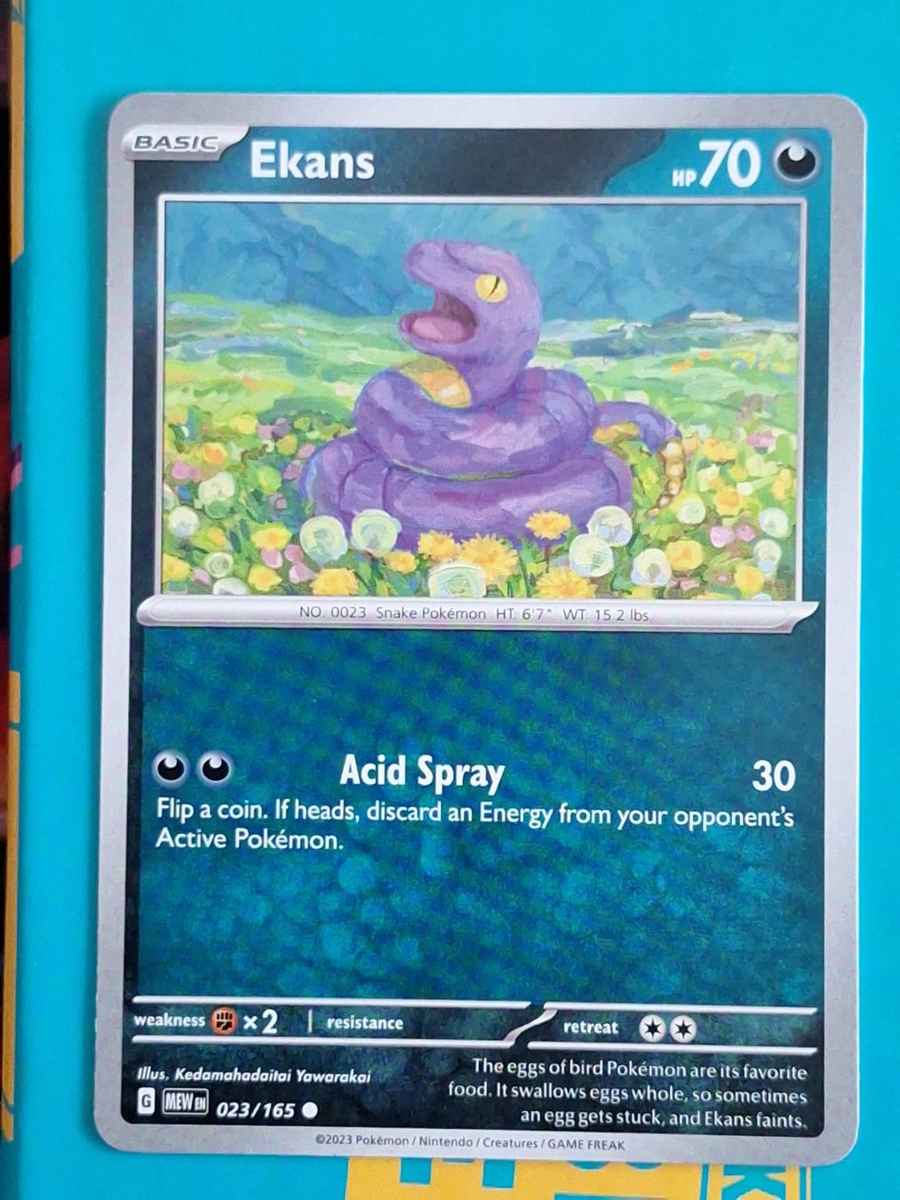 Pokémon Carte collezionabili: Ekans - Pokemon Mew 151 Englisch – Usato da Altstätten SG venduto da GGsGameshop