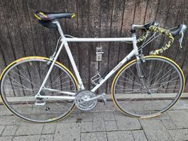 Gubelmann Rennrad, Top Zustand,