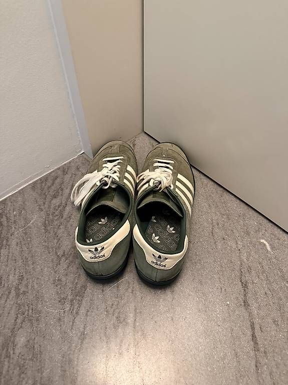 Herrenschuhe: Nike Schuhe – Gebraucht aus Landschlacht von tin_l7j7 1