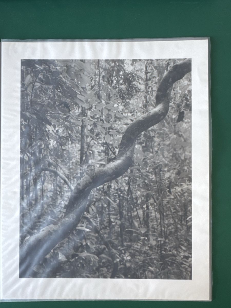 Foto & Immagini: Fotografie, Guido Baselgia – Nuovo (secondo la descrizione) da Luzern venduto da Swifft