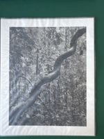 Fotografie, Guido Baselgia