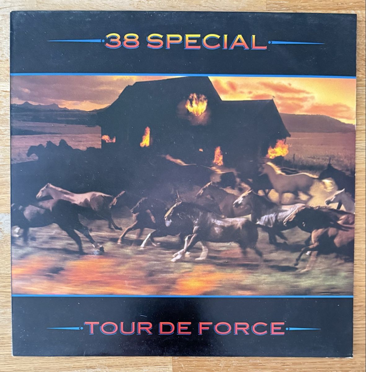 Dischi in vinile: 38 Special Tour de Force Schallplatte – Usato da Goldach venduto da Donpancho
