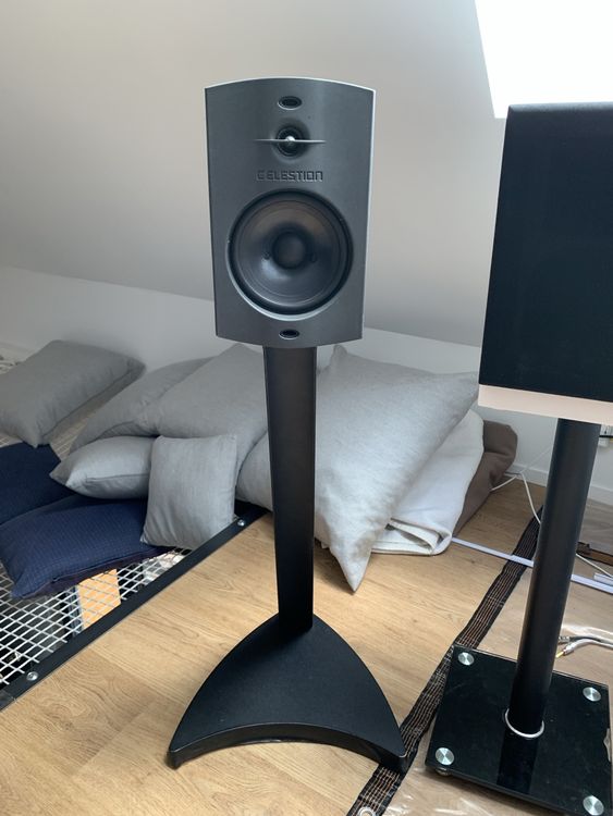 CELESTION MP1 【公式通販】