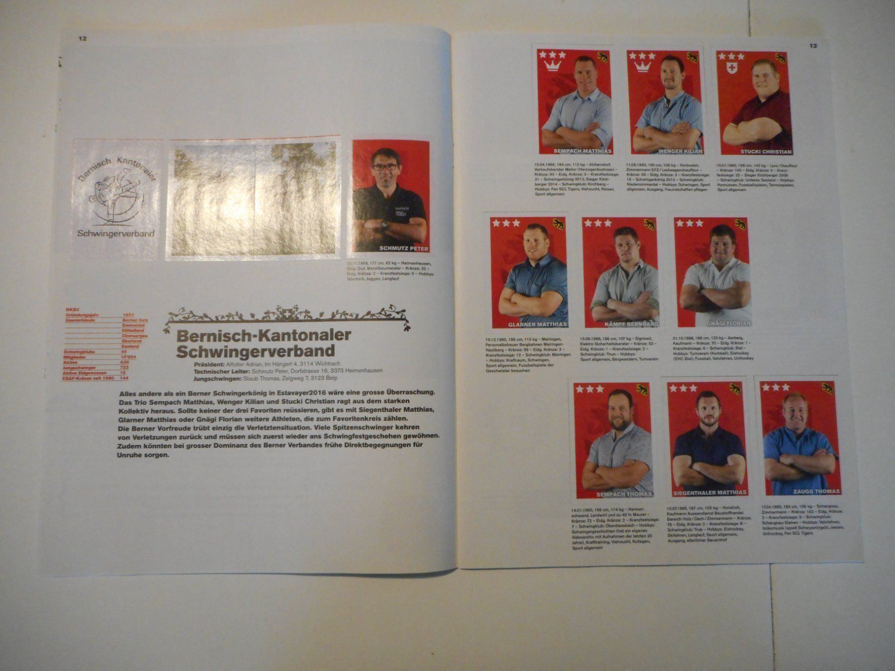 Panini Carte collezionabili: Schwinger Album 2016 kompl. kein Panini – Usato da Cham venduto da Paniniworld 4