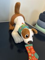 Fisher price crawl with me puppy