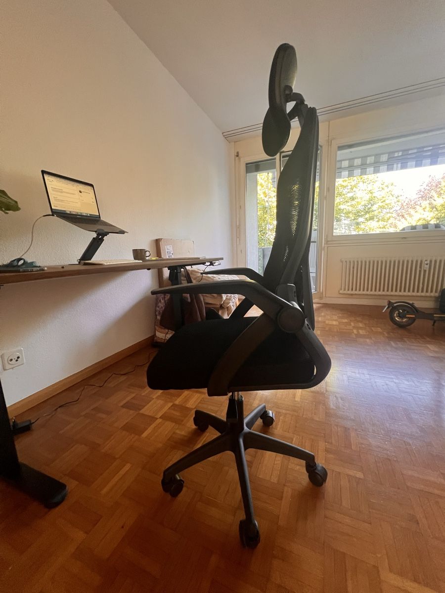 Sedie: Neuer ergonomischer Bürostuhl  – Nuovo (secondo la descrizione) da Arlesheim venduto da lea_m62d 1