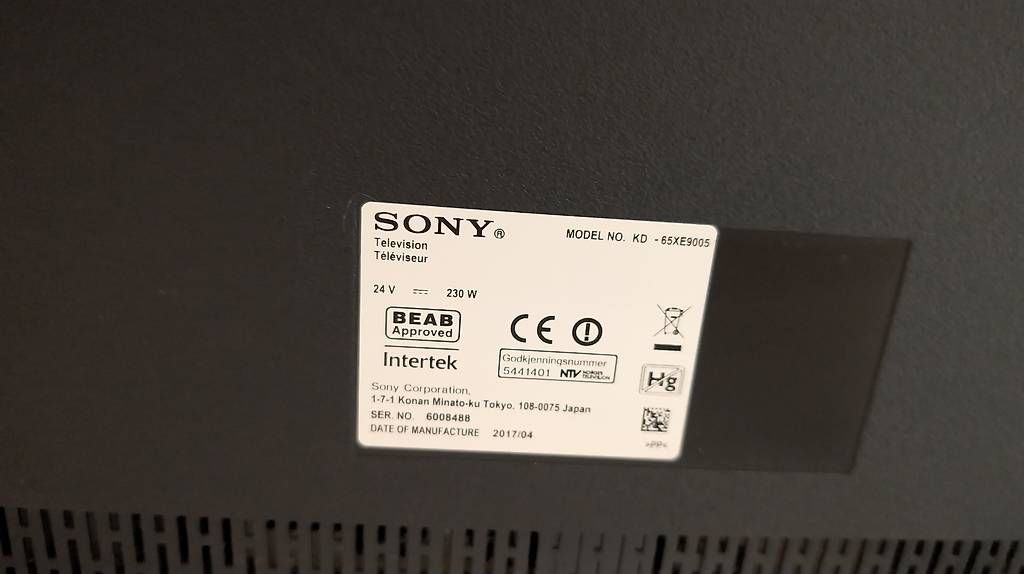 Sony Televisori: Sony Bravia 65" LCD 4K mit Pixelfehler – Usato da Maisprach venduto da mic_dzp6 2