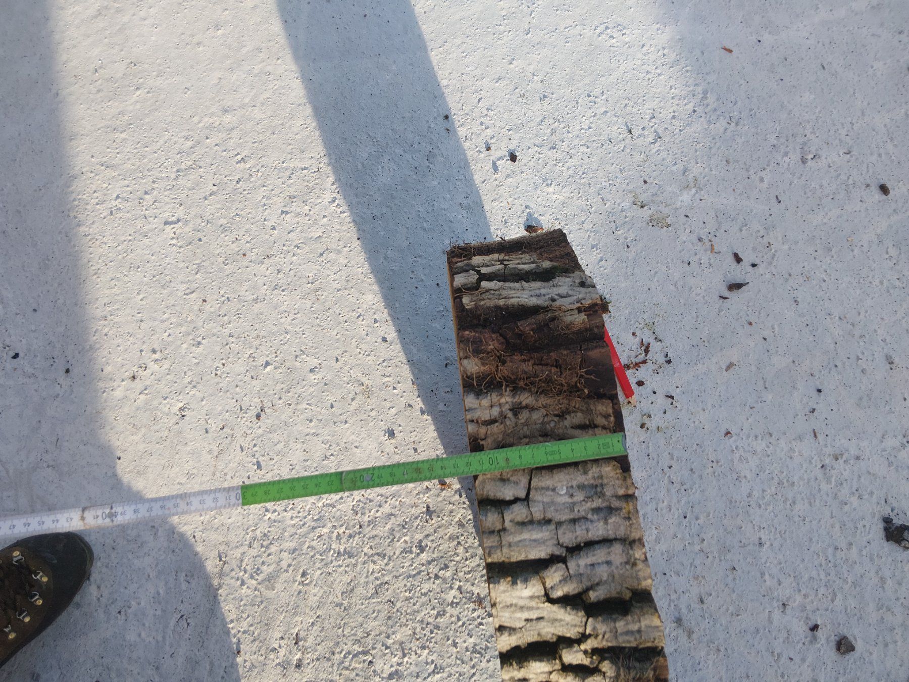 Articles en bois: Nussbaum Holzscheibe Nr. 8 Dekoration – Neuf (Voir description) à Affoltern am Albis par ret_6x6z 2