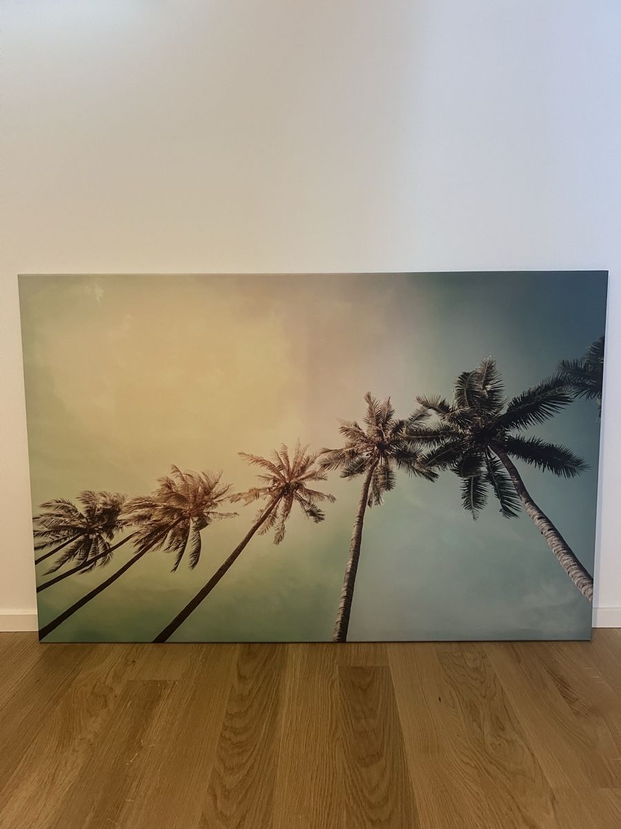 Poster & Bilder: Palmen Bild auf Leinwand  – Gebraucht aus Zürich von ste_k68r