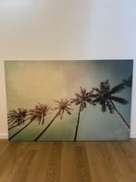 Palmen Bild auf Leinwand 