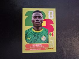 Panini WM 26 SEN 11