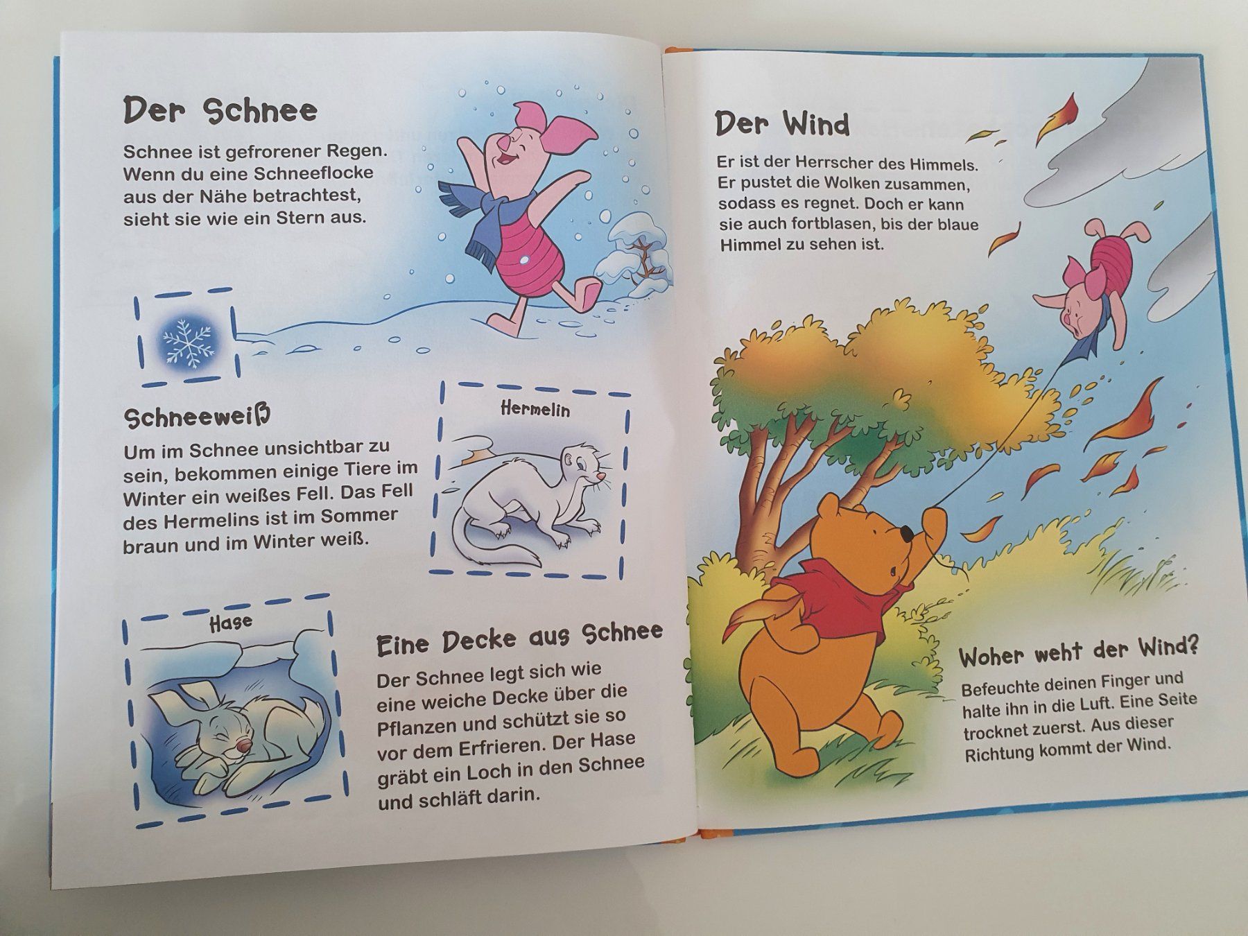 Libri: Winnie Puuh - Entdecke das Wetter / Disney – Usato da Oberdorf BL venduto da BaldenEagle 2