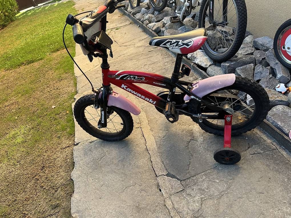 Biciclette: Ensemble des vélos  – Usato da sion venduto da manutoni 3
