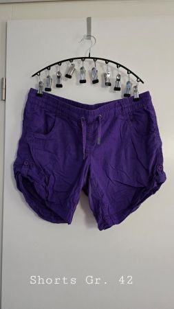 Violette Stoff Shorts