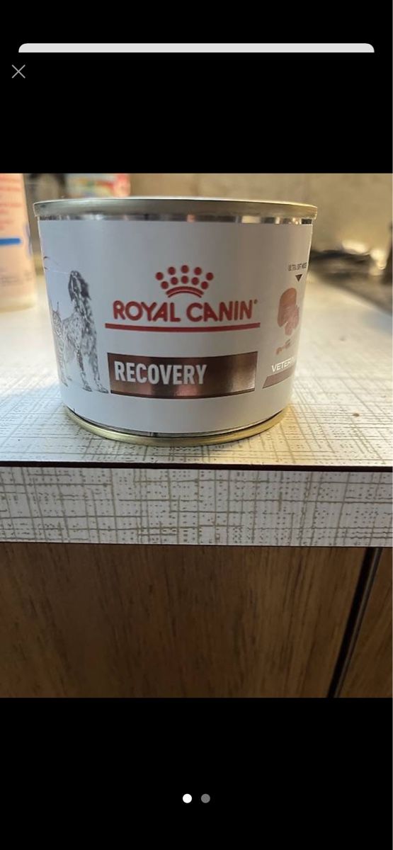 Royal Canin Mangimi: Hunde zubehör – Nuovo e nell'imballaggio originale da Meiringen venduto da Bignoddy