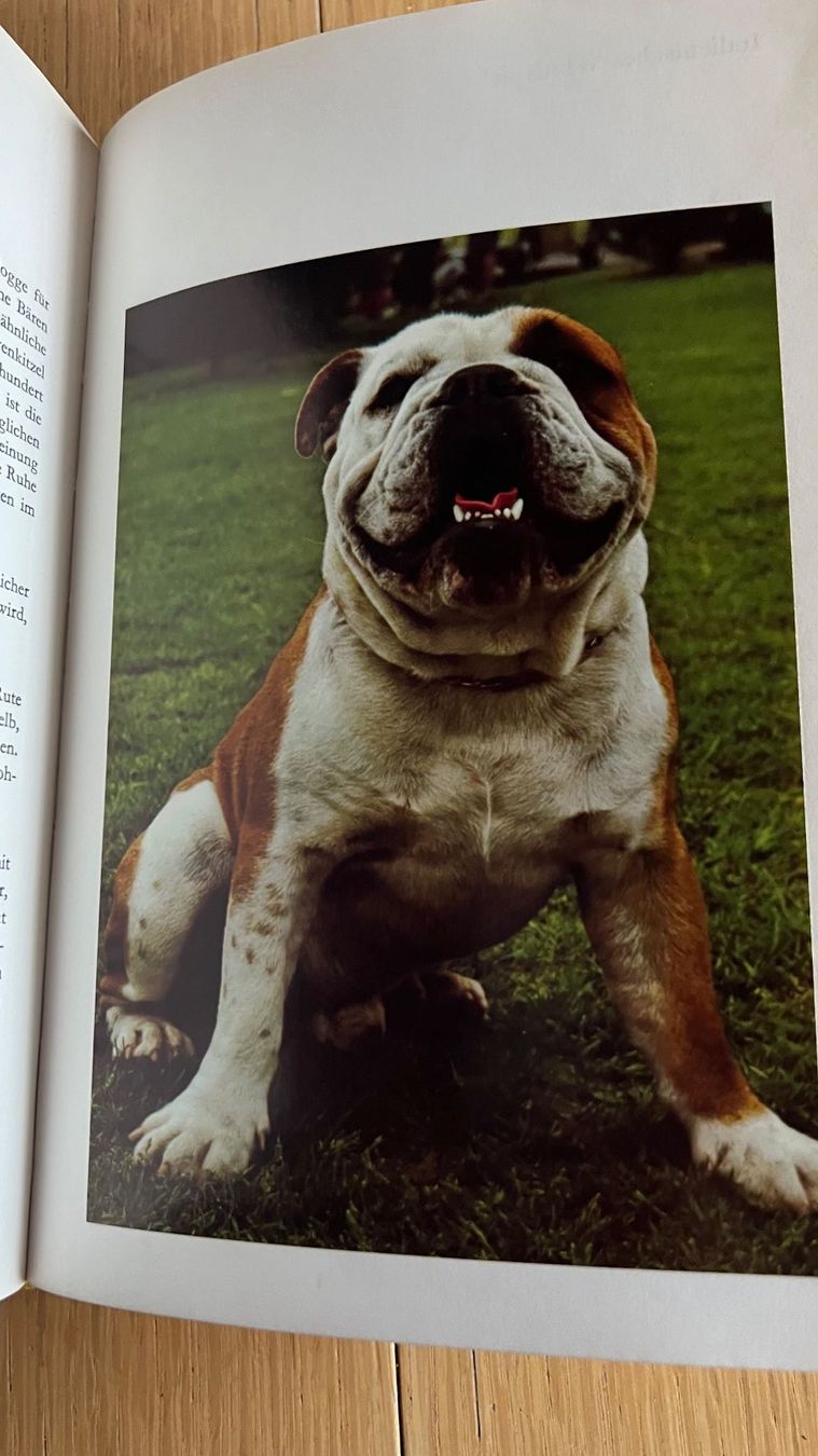 Libri: Rassehunde in der Schweiz - Band 2, 1971 – Usato da Schübelbach venduto da Dolly990_2 2