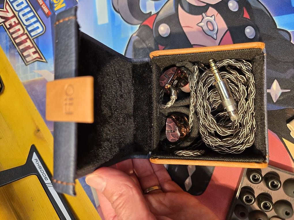 Cuffie: Casque intra-auriculaire Fiio FX15 – Usato da Satigny venduto da Gatoil 1