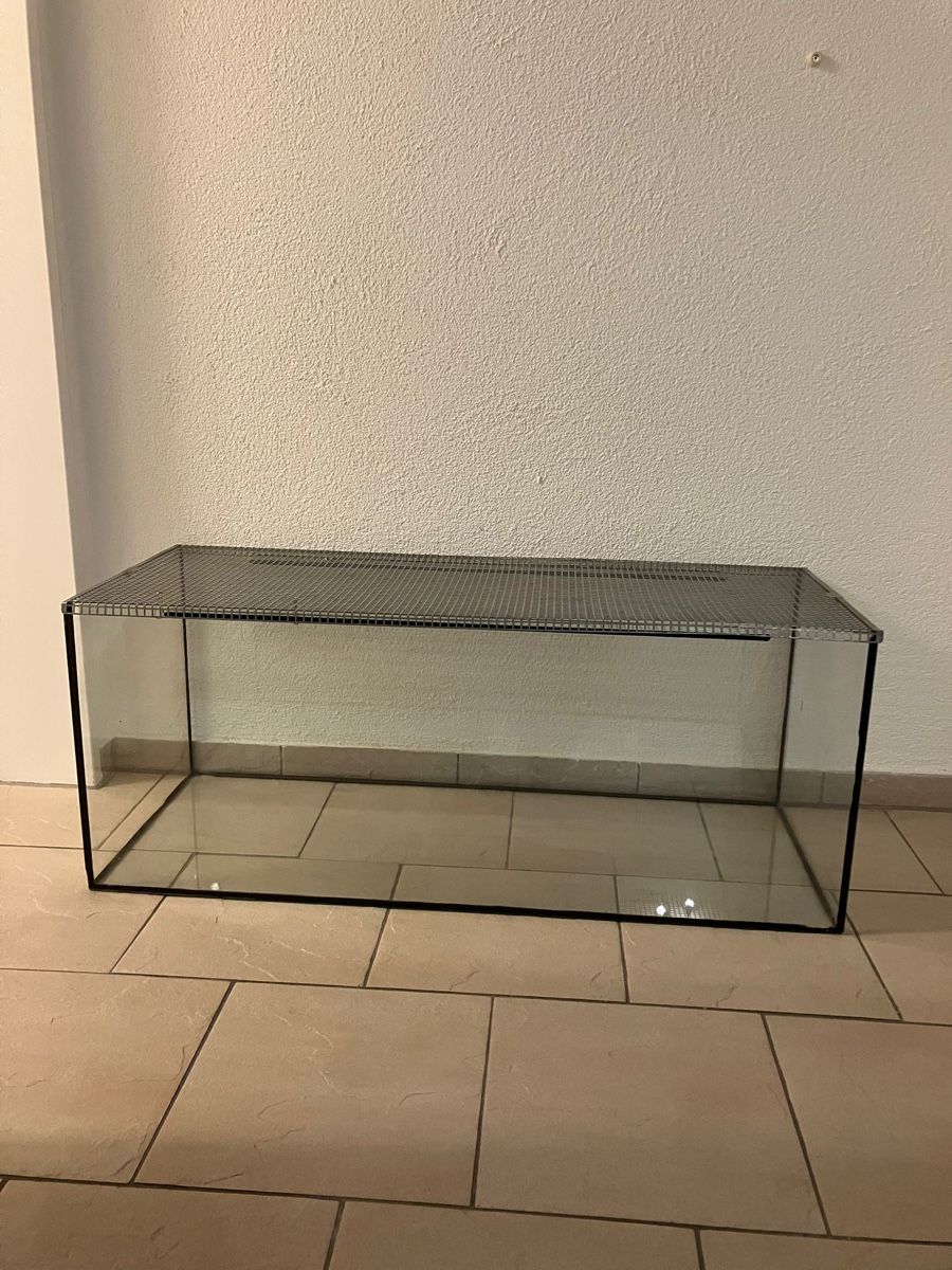 Terrario: Terrarium Glas mit Gitterdeckel – Usato da Winterthur venduto da Flyer16 1