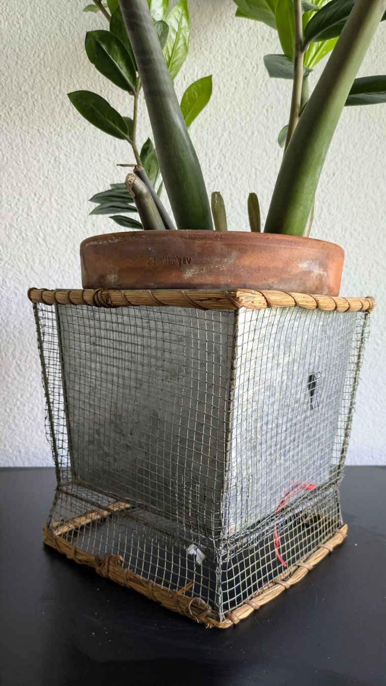 Piante & sementi: Grosse Glücksfeder Zamioculcas mit Übertopf – Usato da Bremgarten b. Bern venduto da oll_8gnq 2