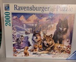 Puzzle 2000 Teile Wölfe im Schnee