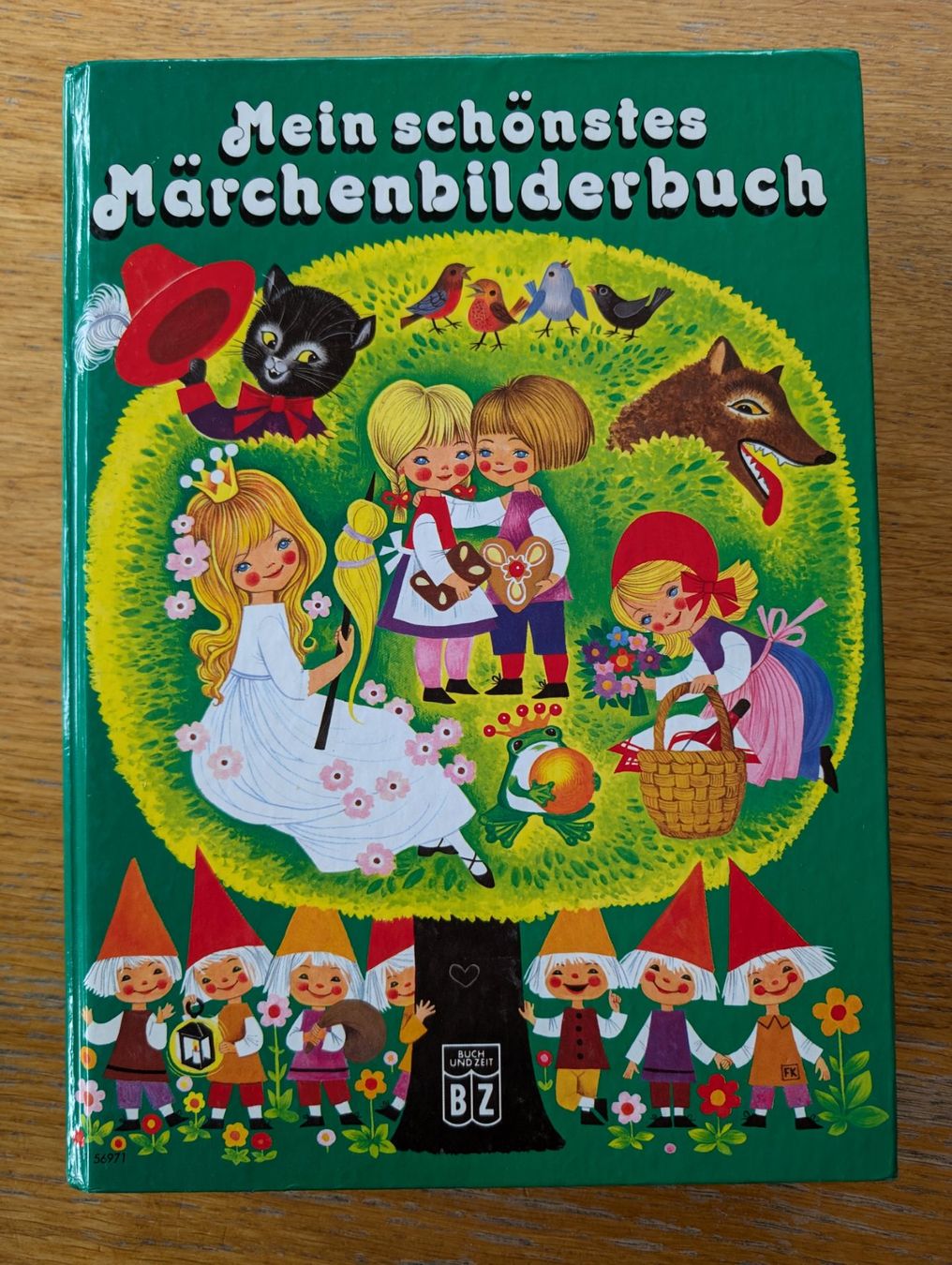 Libri: Märchenbuch – Usato da Appenzell Enggenh. venduto da vario414