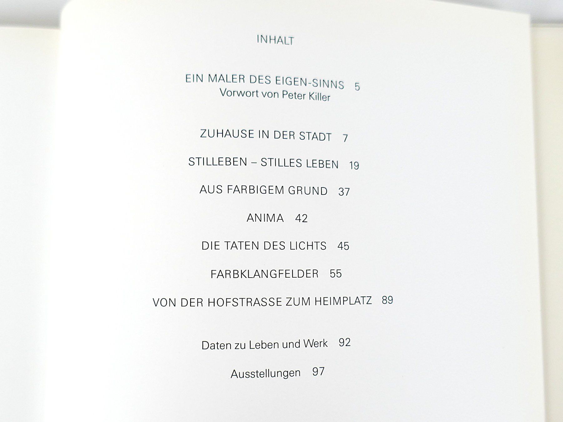Libri: Kunstbuch Rudolf Hurni – Usato da Urtenen-Schönbühl venduto da Restwert_Schoenbuehl 4