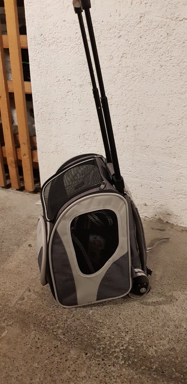 Valigie & Borse: Hunde und Katzen Trolly-Rucksack Chester – Usato da Zürich venduto da fiat72 6