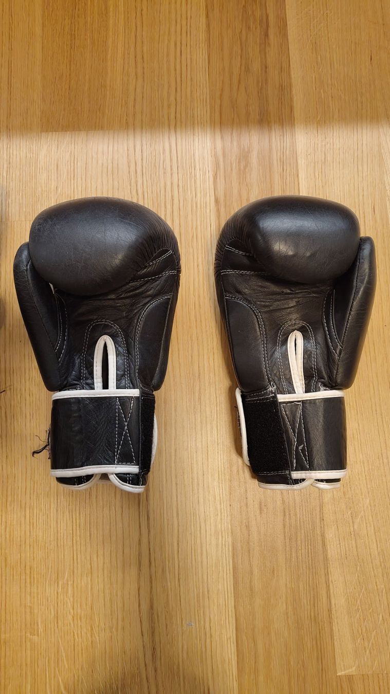 Schutz & Schoner: Kickbox Ausrüstung – Gebraucht aus Bern von mistershark00 5