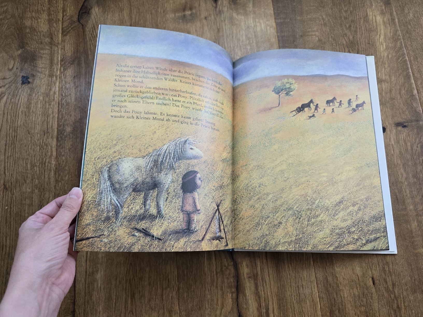 Libri: Indianerjunge Kleiner Mond,Top – Usato da Wittenbach venduto da Tigerlili 4