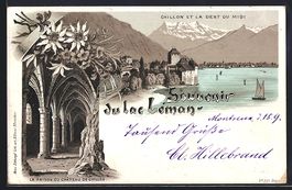 Vorläufer-Lithographie Lac Léman, 1895