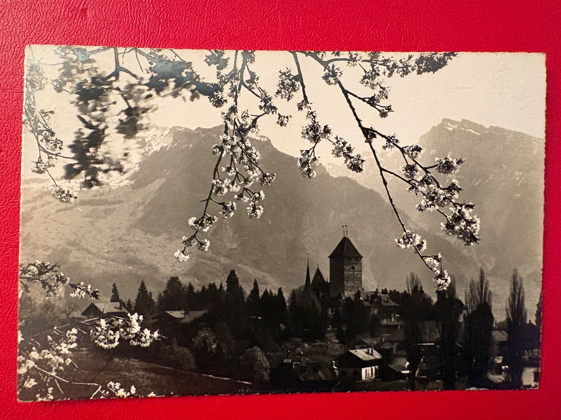Cartoline postali: 1928 / Spiez - Niederhorn – Usato da St-Légier-Chiésaz venduto da Theo006