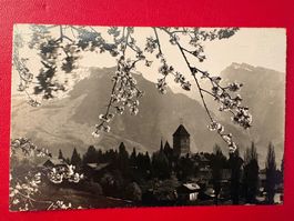 1928 / Spiez - Niederhorn
