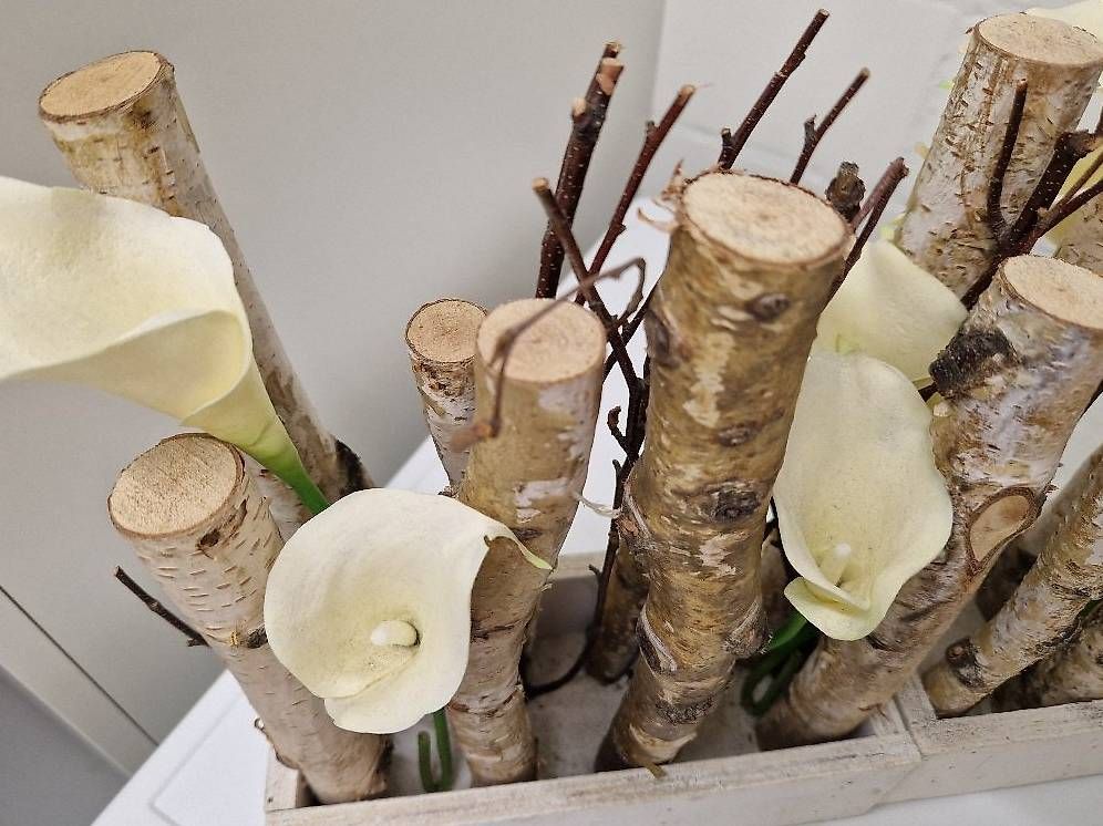 Tutte le decorazioni: Moderne Deko mit Birkenholz, und Blumen. – Usato da Felben-Wellhausen venduto da calalu 1