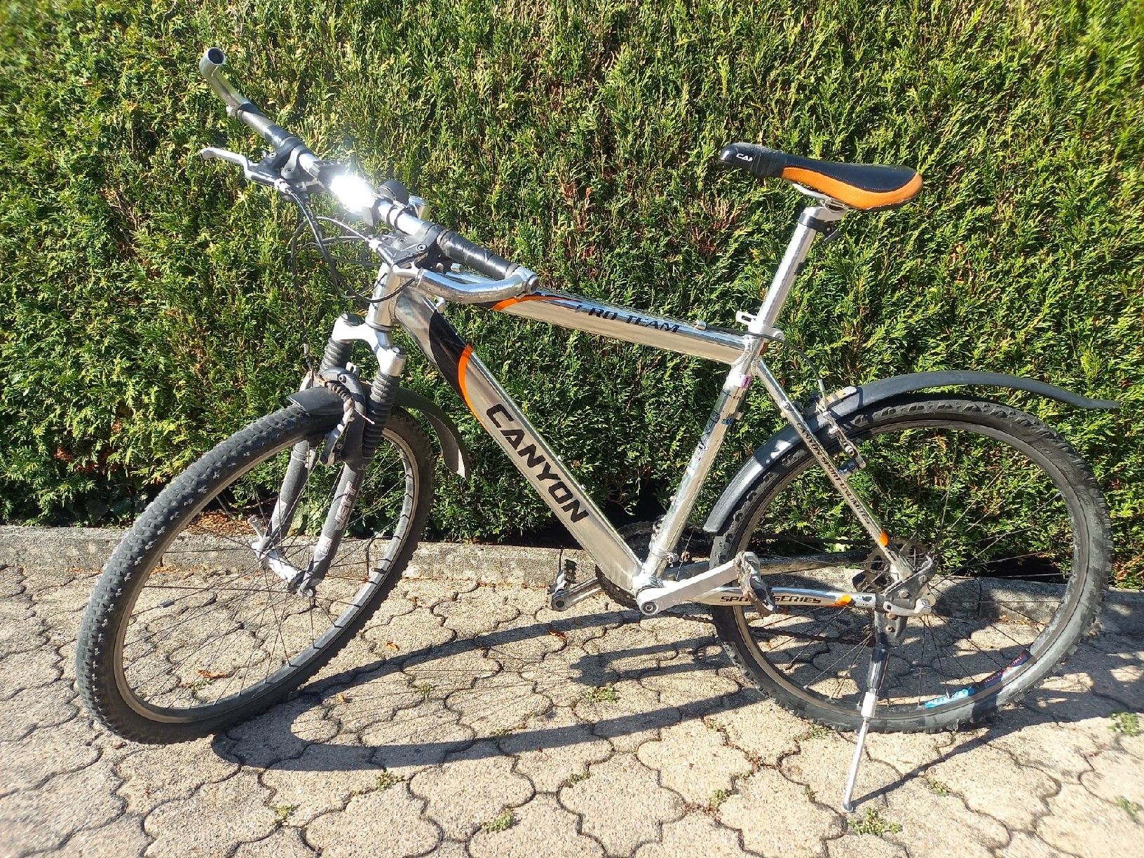 Canyon Velos: Mountainbike Canyon – Gebraucht aus Stans von thomin8989