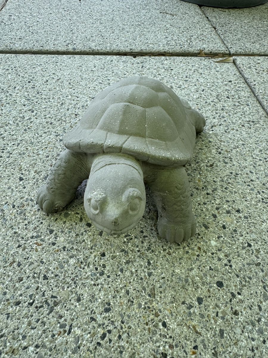 Alle Dekorationen: Beton Schildkröte Gartendeko – Gebraucht aus Dübendorf von Raschima