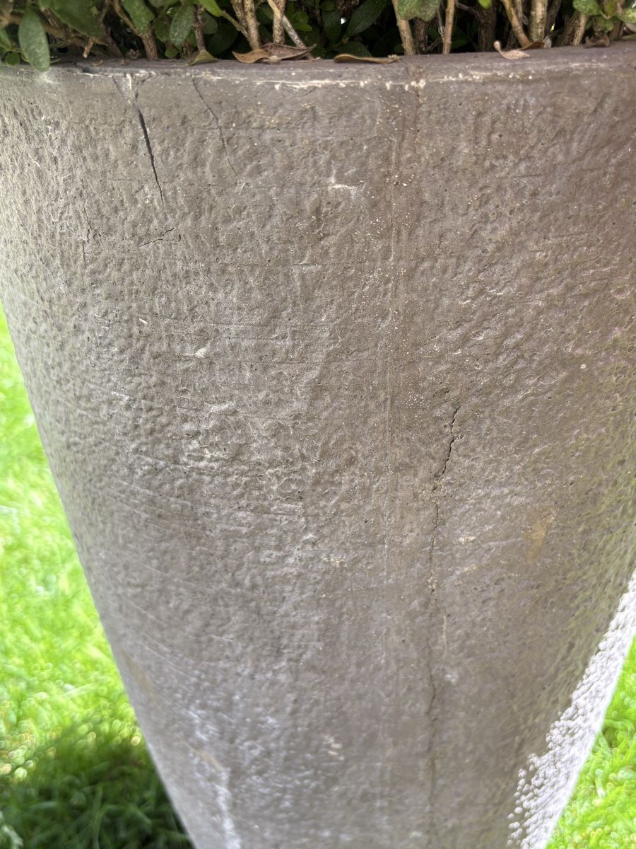 Blumentöpfe: Pflanzgefäss Beton grau mit Buchsbaum Rissig – Gebraucht aus Oberengstringen von Edu78 1