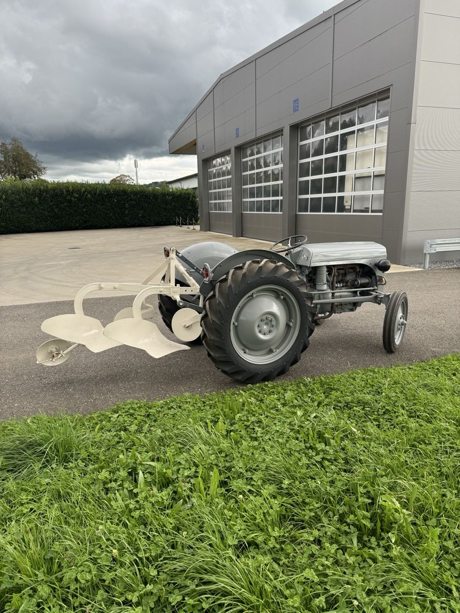Massey Ferguson Trattori: Ferguson TED 20 B-Pflug – Usato da Zezikon venduto da fridalift 2