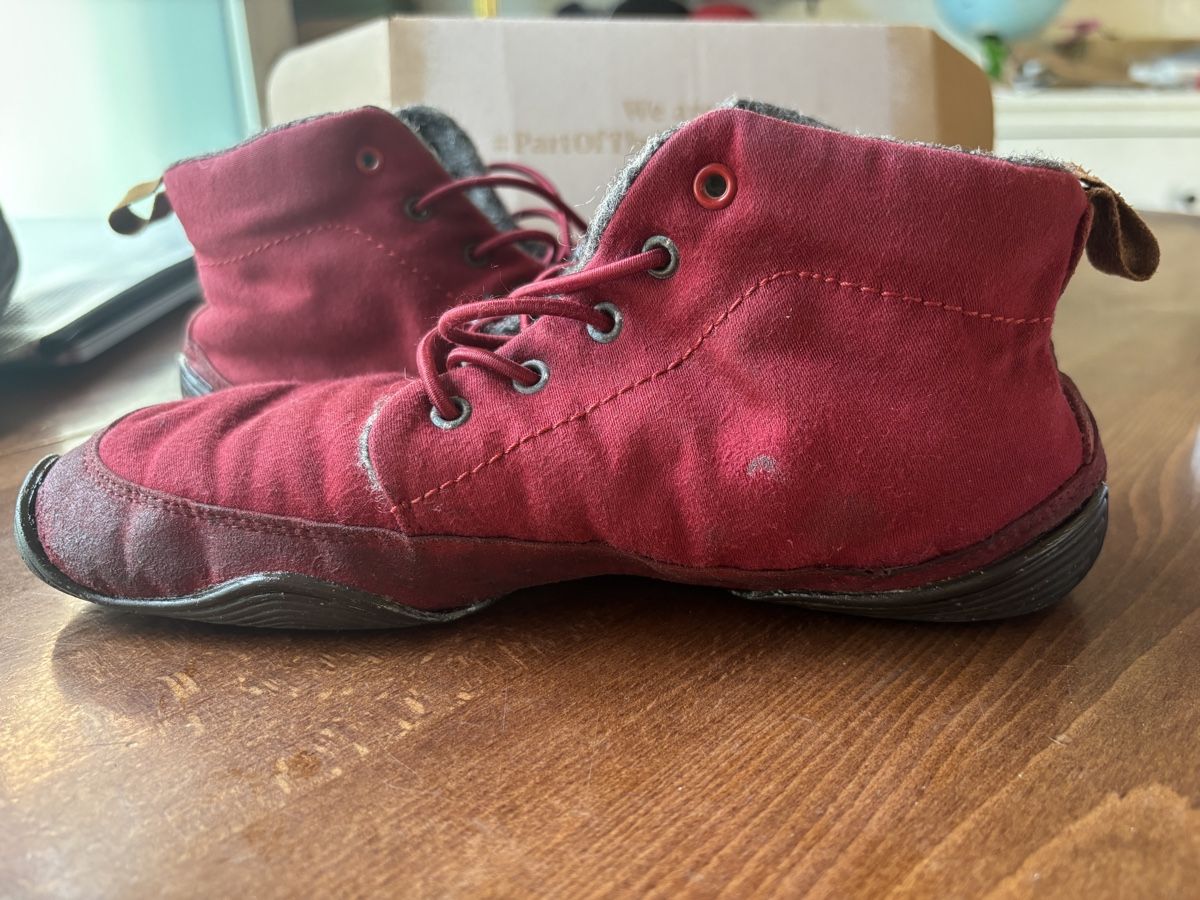 Wildling Scarpe per ragazzi: Wildling Eichhörnchen Gr 36 preloved & refurbished – Usato da Hinwil venduto da Anngeblich0815 1