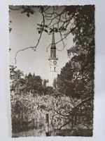 1 Ansichtskarte CHAM am Zugersee mit Pfarrkirche(LO246#AAK)
