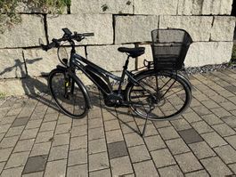 Wheeler i-Vision Speed e-Bike 45km/h (Damen)