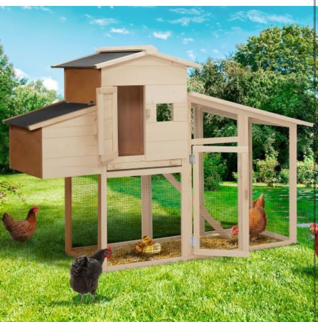 Gabbie, trasporto & Sicurezza: Hühnerstall mit Legenest, aus Holz – Nuovo e nell'imballaggio originale da Amriswil venduto da JaJa-Express 1