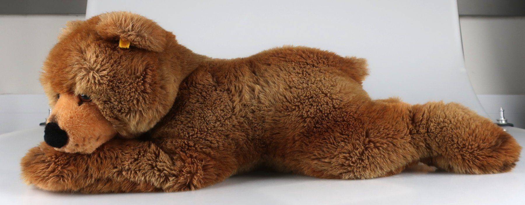 Steiff Spielzeuge: Steiff Braunbär - Stofftier – Gebraucht aus Volketswil von brockipfannenstil 2