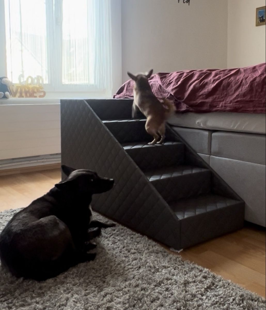 Treppen: Hundetreppe – Neu (gemäss Beschreibung) aus Wallisellen von Mivida87 1