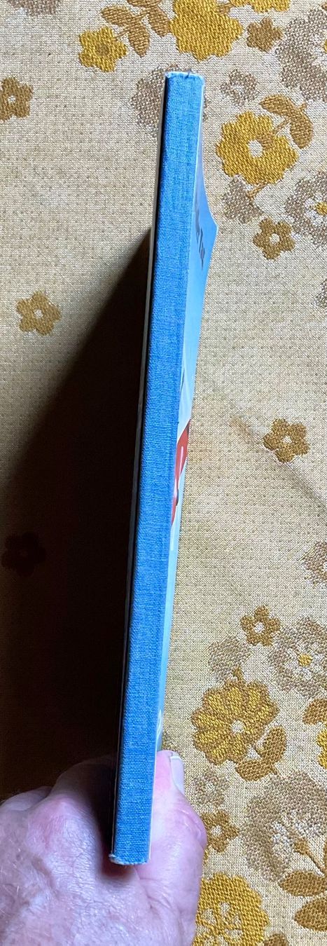 Libri: Globi Buch von 1967 – Usato da Endingen venduto da nathan05 1