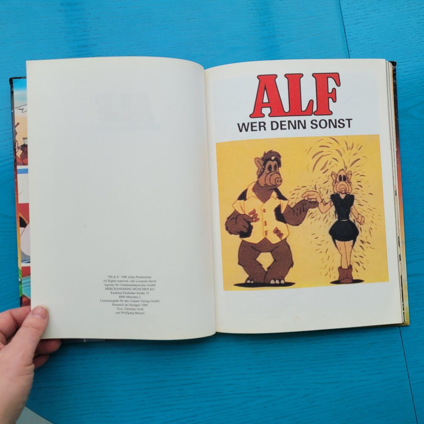 Libri: ALF wer denn sonst – Usato da SCHÜBELBACH venduto da CoKaHa 2