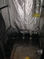 *Growingbox/Gartenbox*  Darkroom