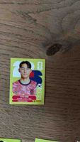 Panini Sticker Yumin Cho gebraucht